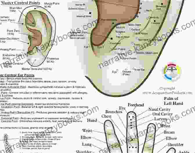 A Detailed Diagram Of The Ear Acupuncture Microsystem, Depicting The Various Acupoints And Their Corresponding Body Parts And Organs. Principles Of Ear Acupuncture: Microsystem Of The Auricle