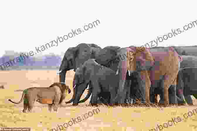 A Group Of Children, Their Eyes Wide With Wonder, Observe A Herd Of Elephants In Their Natural Habitat, Learning About The Importance Of Wildlife Conservation. Animals Of The Serengeti Wildlife Of East Africa Encyclopedias For Children