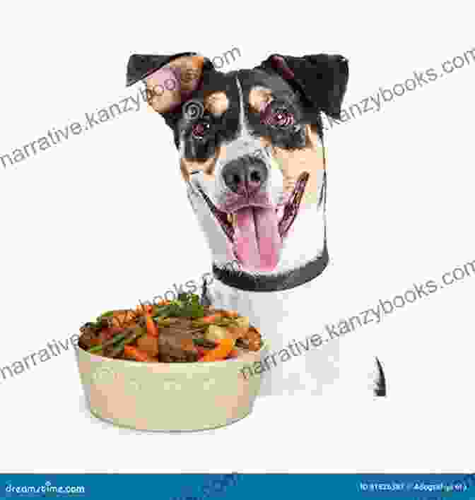 A Happy Dog Eating A Bowl Of Homemade Food Instant Pot Chow For Dogs: Easy DIY Meals To Keep Your Dog Happy Healthy Active 40 Instant Pot Recipes