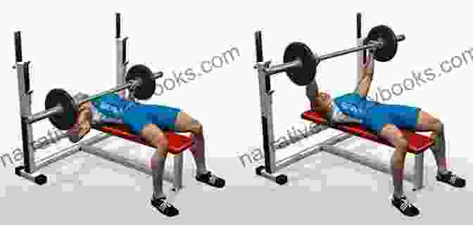 A Muscular Man Performing A Barbell Bench Press Exercise Building Muscle For Beginners: The Complete Blueprint To Building Muscle With Weight Lifting