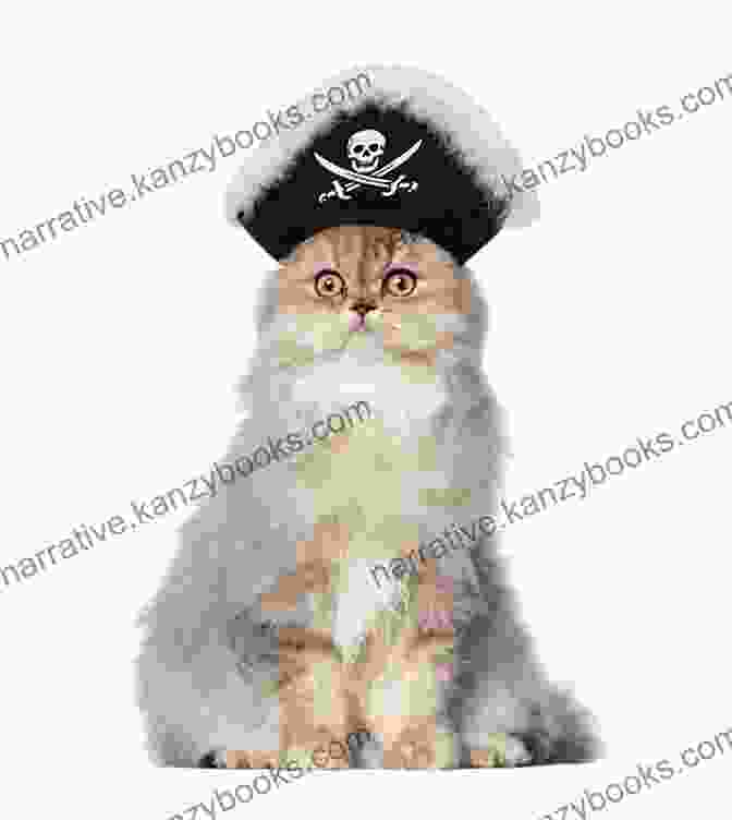 A Photo Of Bosley The Pirate Cat, Wearing A Pirate Hat And Eyepatch. Bosley The Pirate Cat (The Bosley Books)