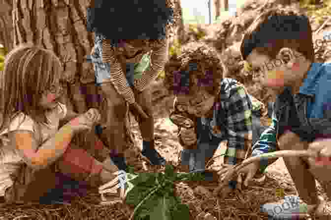 Curious Children Joyfully Exploring The Wonders Of The Farm The Colors Of The Farm Sense Sensation For Kids