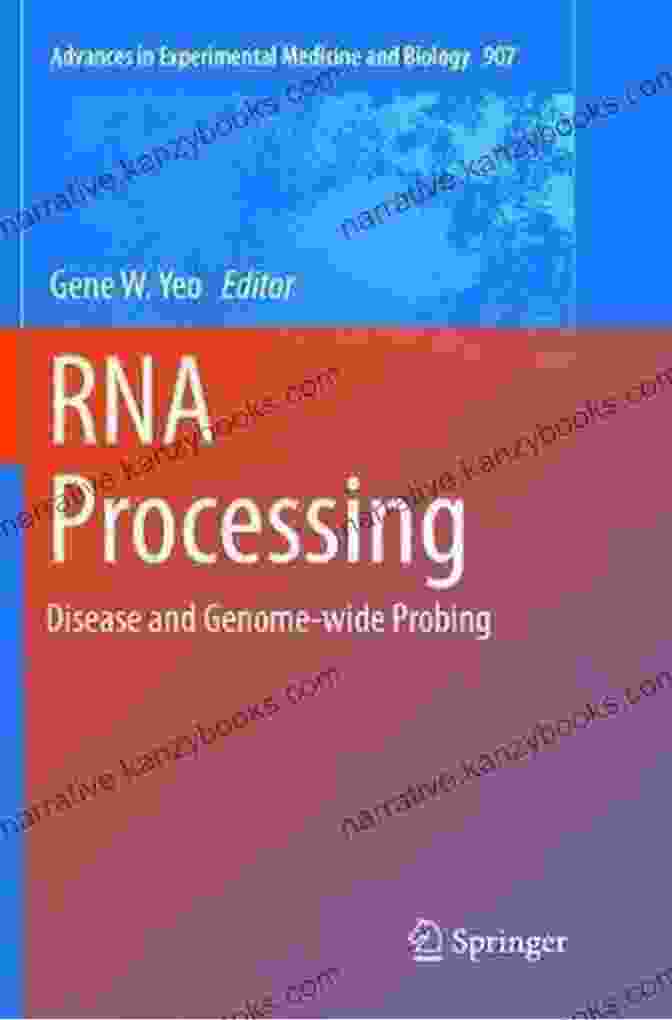 From Molecular Biology To Clinical Practice: Advances In Experimental Medicine MicroRNA: Cancer: From Molecular Biology To Clinical Practice (Advances In Experimental Medicine And Biology 889)