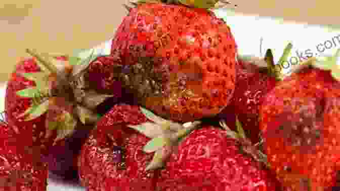 Ripe Strawberries Bursting With A Sweet And Tangy Aroma The Colors Of The Farm Sense Sensation For Kids