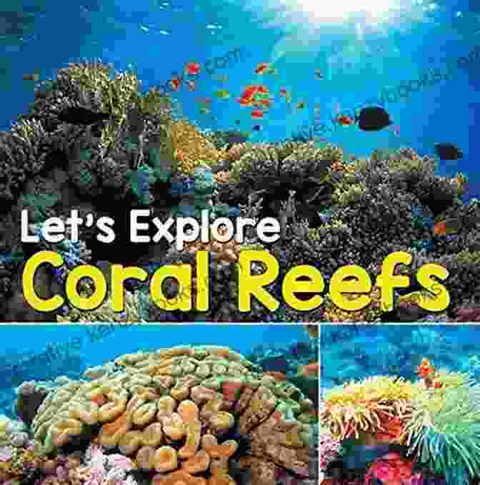 The Cover Of The Book Let's Explore Coral Reefs Let S Explore Coral Reefs: Under The Sea For Kids (Children S Fish Marine Life Books)