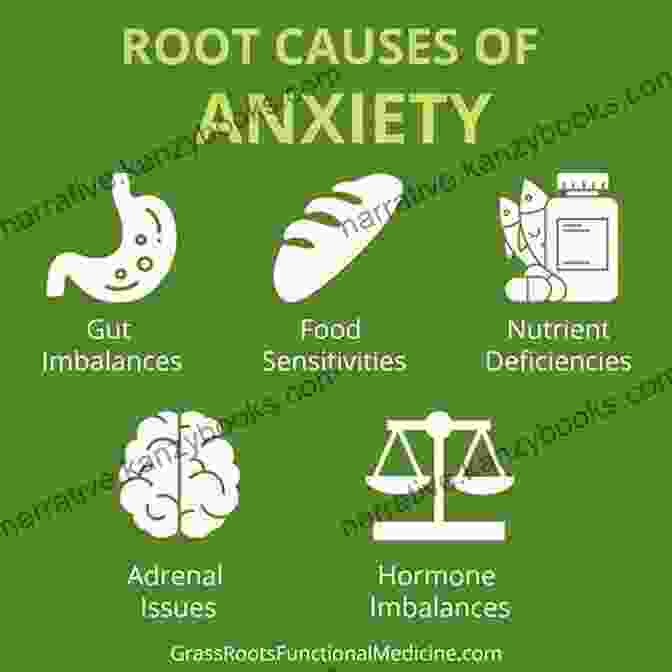 The Root Causes Of Panic Attacks Illuminated In A Diagram Helicobacter Pylori (H Pylori) : The Ultimate Guide On The Causes Treatment Symptoms And How To Remain Free Forever