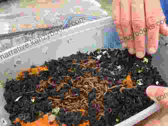 Worms Crawling Through A Compost Bin, Symbols Of Decomposition I M Trying To Love Garbage