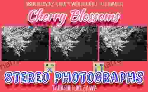 Cherry Blossoms / Stereo Photographs BestSealer Publications