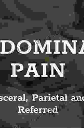 Chronic Abdominal And Visceral Pain: Theory And Practice