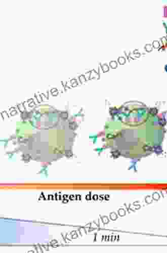 Drug Hypersensitivity And Desensitizations An Issue Of Immunology And Allergy Clinics Of North America (The Clinics: Internal Medicine 37)