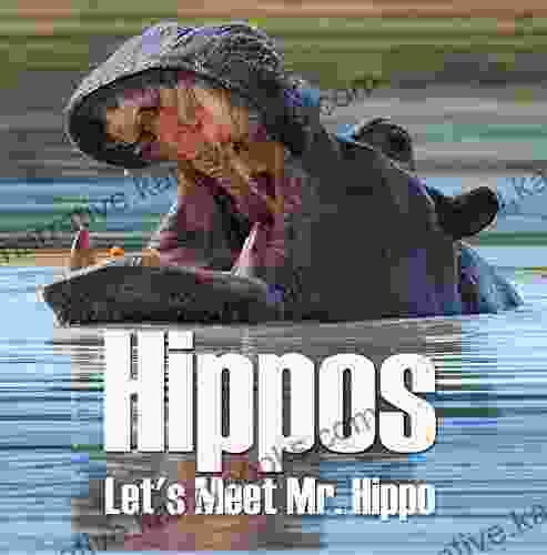 Hippos Let S Meet Mr Hippo: Hippo For Children (Animal Encyclopedia For Kids)