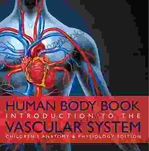 Human Body Introduction To The Vascular System Children S Anatomy Physiology Edition