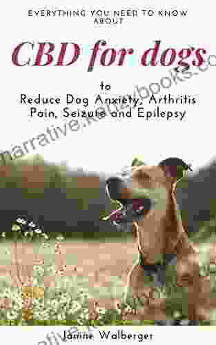 CBD For Dogs: To Reduce Dog Anxiety Arthritis Pain Seizure And Epilepsy